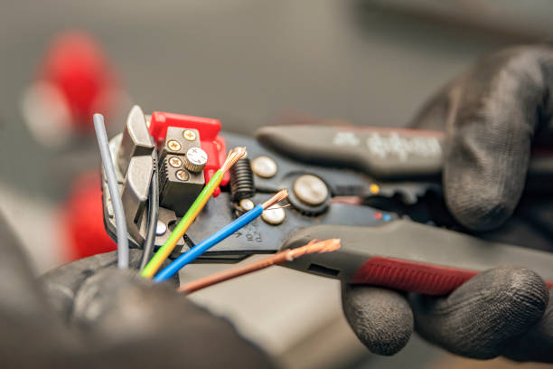 Best Licensed Electrician  in Ferry Pass, FL